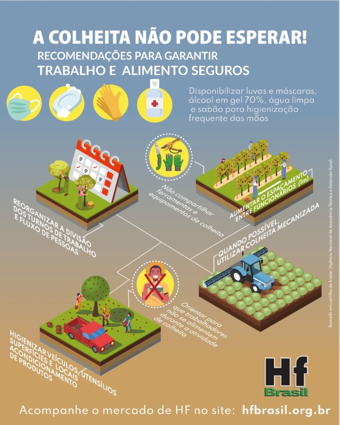 colheita hortifruti cepea coronavírus