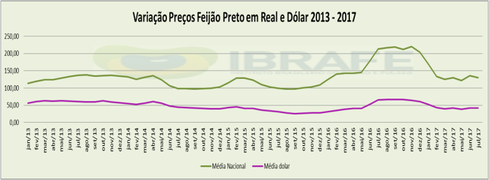 Relatório Feijão 25/07