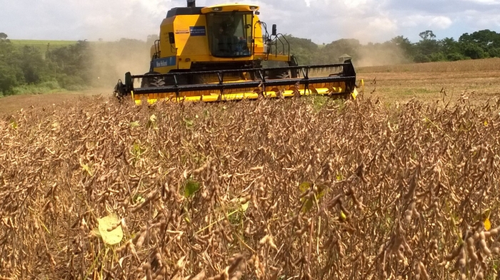Imagem do dia - Lavoura de soja em Jataí (GO). Imagem enviada pelo Engenheiro Agrônomo Jean Vilela