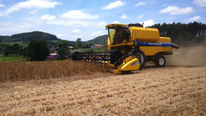 Imagem do dia - Início da colheita de soja em Santa Cecília do Sul (RS), do produtor Eleus Tieppo. Enviado por Edimar Cecchin