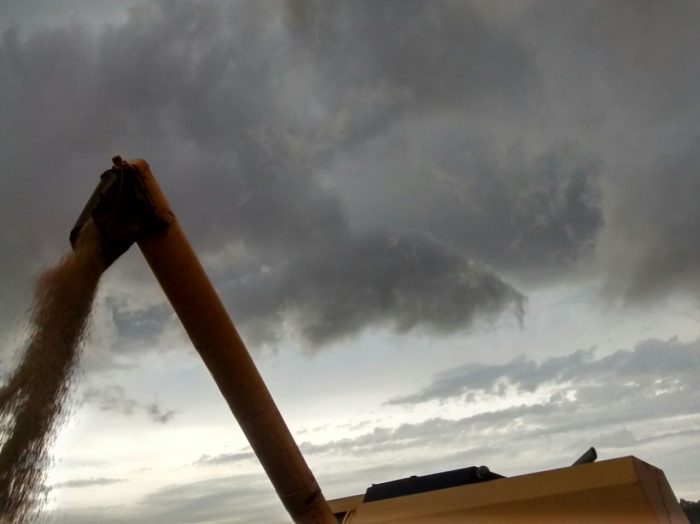 Imagem do dia - Colheita de soja em Palmeira das Missões (RS). Imagem de João Mateus Vargas de Oliveira