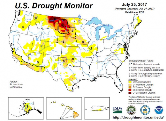 Drought Monitor - 25 de Julho