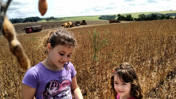 Imagem do dia - Colheita de soja em Catanduvas (PR)