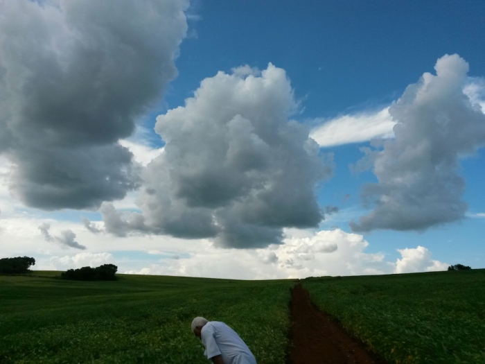 Imagem do dia - Lavoura de soja em Borrazópolis (PR), do produtor Paulo Batista Leite