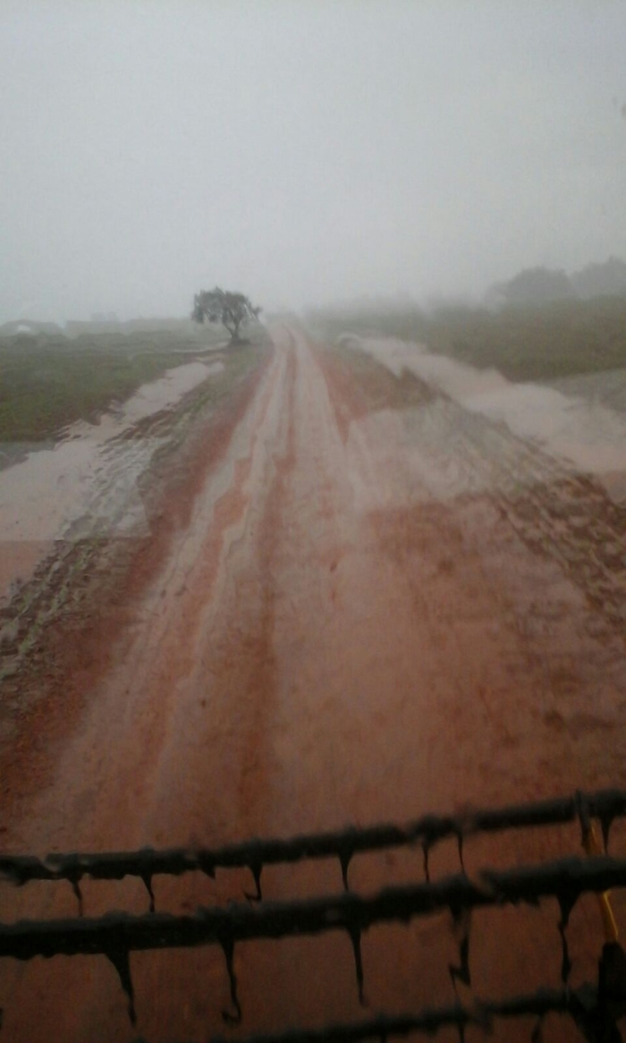 Imagem do dia - Chuvas em Pedrinhas Paulista (SP), atrapalhando a colheita de soja