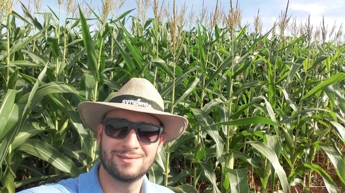 Imagem do dia - Lavoura de soja em Itambé (PR). Enviado por Nivaldo Forastieri