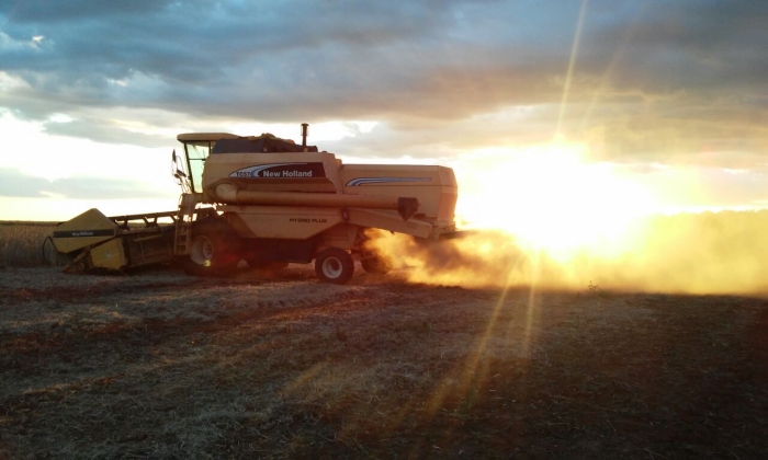 Imagem do dia  - Fim da colheita de soja em Ituiutaba (MG). Enviado por Lucas Rigo