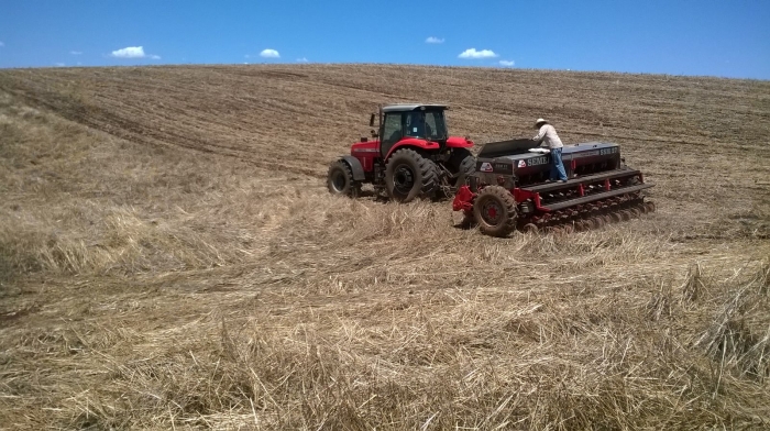 Imagem do dia - Plantio de soja em Ronda Alta (RS), na propriedade de Alceu Bedin e Filhos