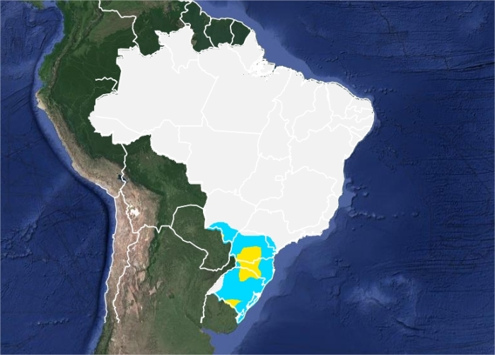 Mapa das áreas com previsão de geadas nesta terça-feira em todo o Brasil - Fonte: Inmet