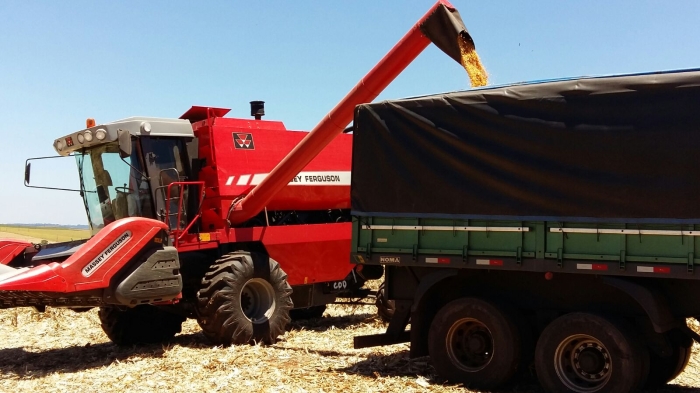 Imagem do dia - Colheita de milho em Pranchita (PR), do produtor Flávio Irber. Enviado por João Pedro