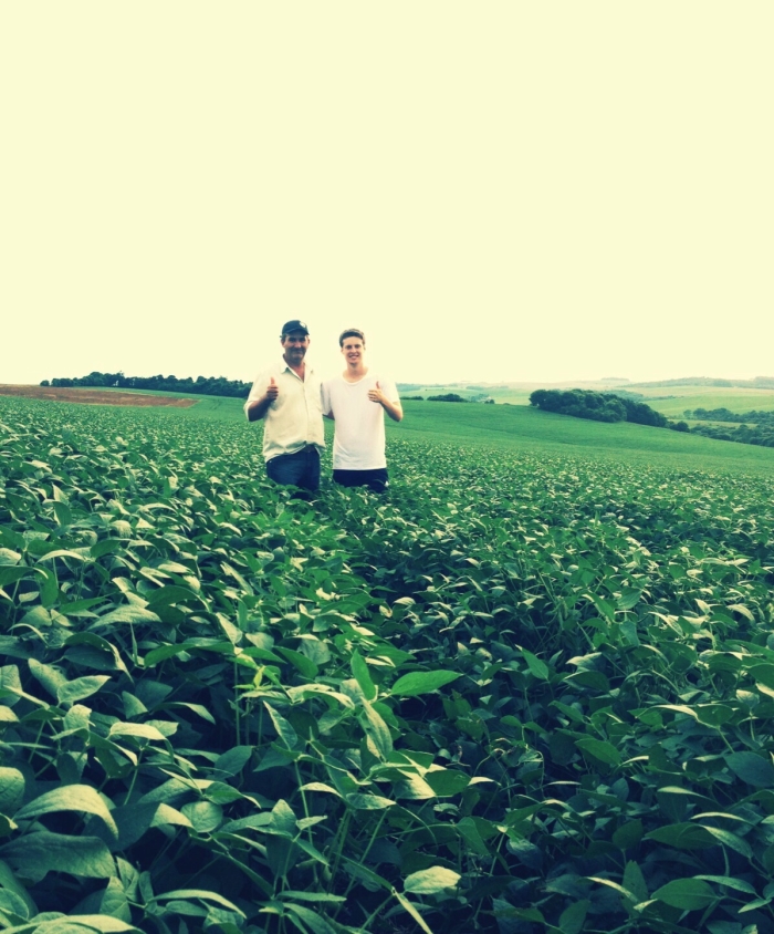 Imagem do dia - Lavoura de soja em Gramado dos Loureiros (RS), na Fazenda Margarino, do produtor Adilio Margarino