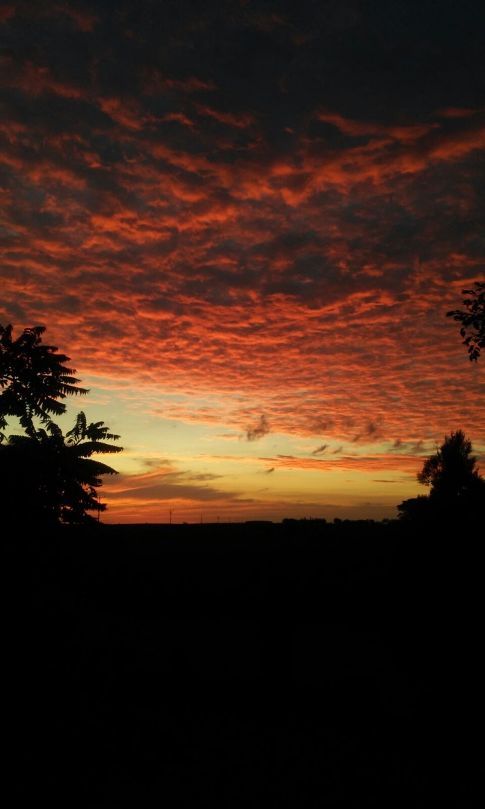 Imagem do dia  - Entardecer em Terra Roxa (PR). Enviado por Criss Varolo
