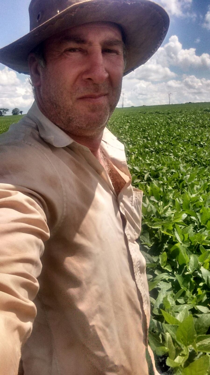 Imagem do dia - Lavoura de soja em Cândido Mota (SP), na Fazenda Marina. Enviado por Pasquale Martino