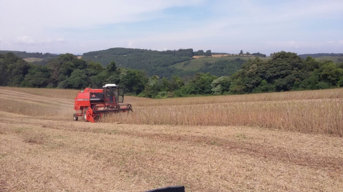 Imagem do dia - Colheita de soja em Erval Velho (SC), do produtor Marcelo Conte Jr.