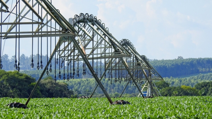 Imagem do dia - Lavoura de soja na Fazenda Canaã em Bernardino de Campos (SP)