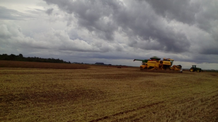 Imagem do dia - Final da colheita de soja em Toledo (PR)