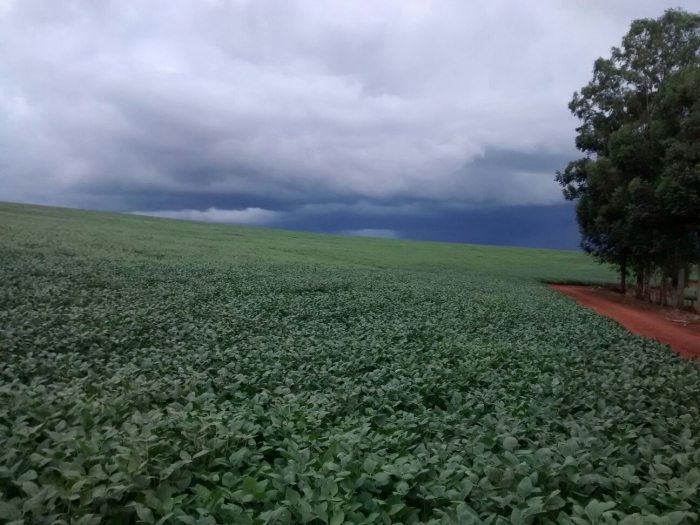 Imagem do dia - Chuva se aproximando de Sarandi (RS). Imagem de  Técnico Agrícola João Mateus Vargas de Oliveira