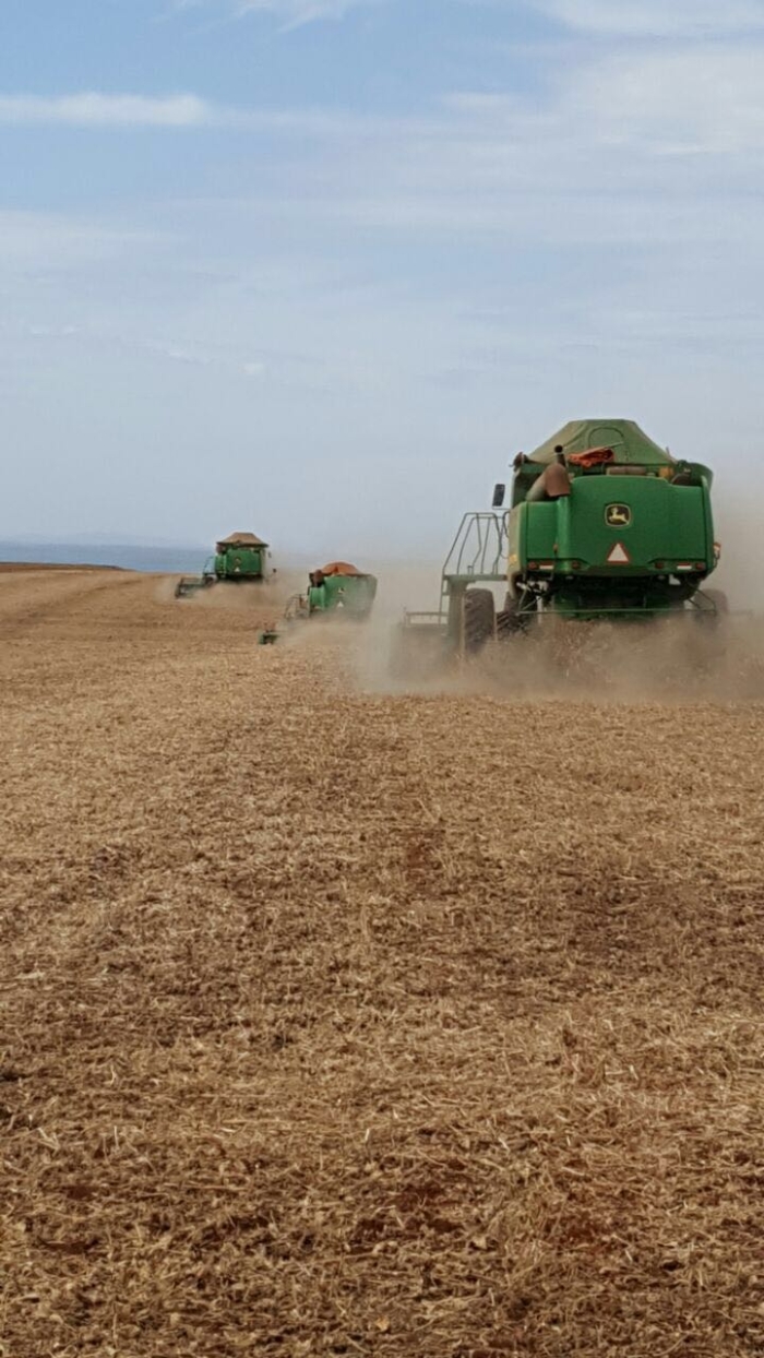 Imagem do dia - Colheita soja safrinha em Pira Pytã (PY), do produtor Claudio Mattos