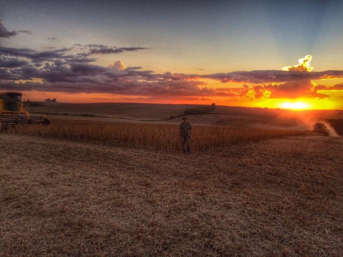 Imagem do dia - Guilherme Strada na colheita de soja em Ronda Alta (RS)