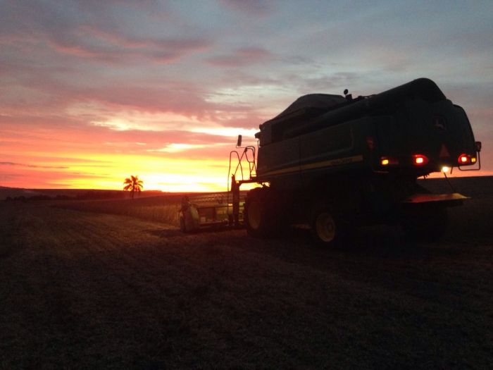 Imagem do dia - Fim da colheita de soja em Victor Graeff (RS). Enviado por Carlos Gehring