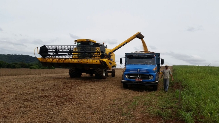 Imagem do dia - Colheita de soja em Getúlio Vargas (RS), na propriedade de Zigomar Castelli. Imagem enviada por Moisés Peretti