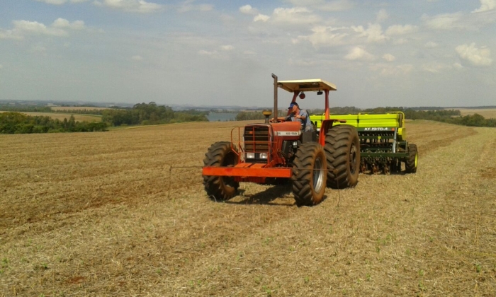Imagem do dia - Plantio de aveia preta em Fortaleza dos Valos (RS), do produtor Carlos Ebert. Imagem enviado por Maurício Ebert