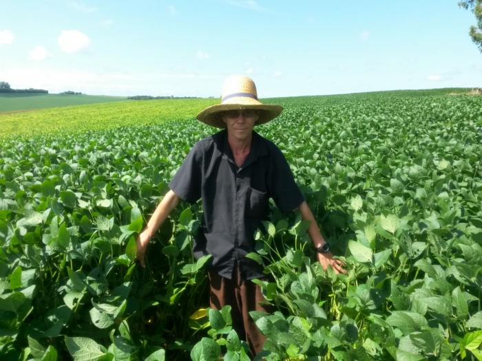 Imagem do dia - Lavoura de soja em Pontão (RS), da família Strehl