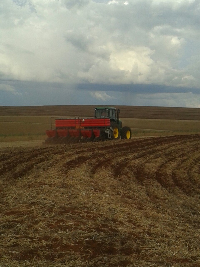 Imagem do dia - Plantio de milho safrinha em Vera Cruz do Oeste (PR). Enviada pelo Engenheiro Agrônomo Eduardo Timbola