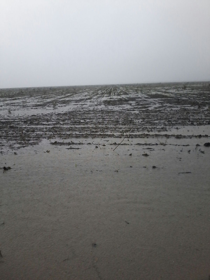 Imagem do dia - Chuvas em Uruçuí (PI)