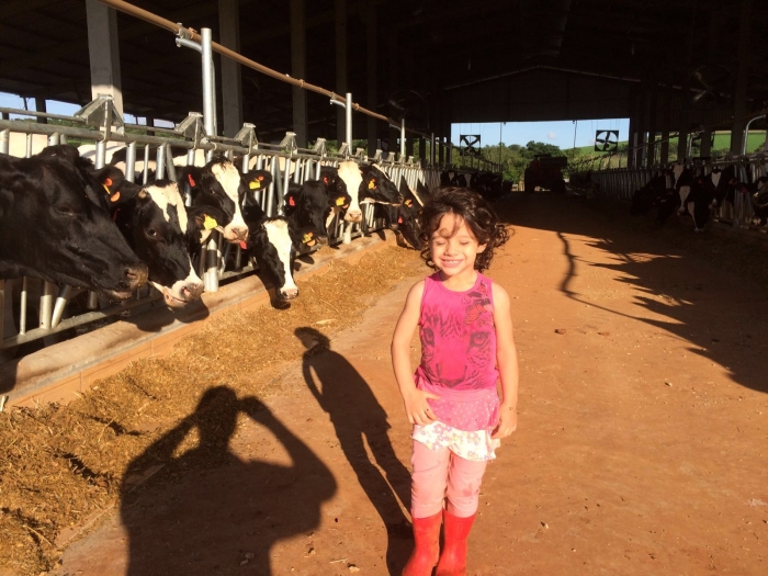 Imagem do dia - Sede da agropecuária Malage em Coronel Vivida (PR), do produtor Marcos Malage