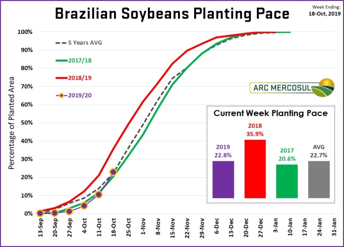 Gráfico plantio da soja ARC