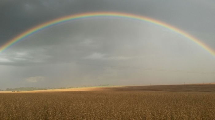 Imagem do dia - Arco íris na lavoura de soja em Santa Terezinha de Itaipu (PR). Enviado por Argel Redivo