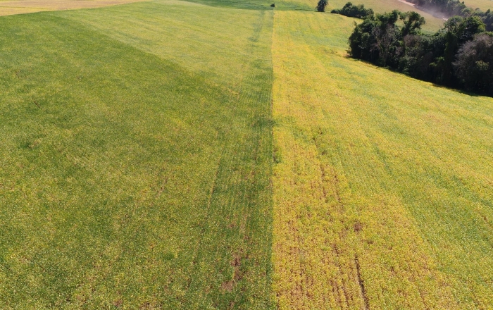 Publieditorial Caltec