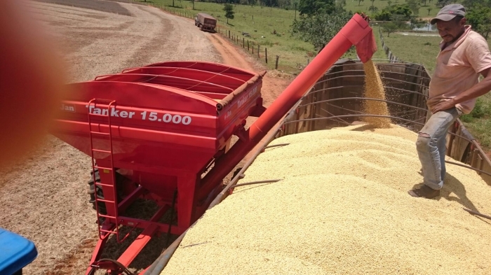 Imagem do dia - Colheita de soja em Palmeiras de Goiás (GO), do produtor Murillo Pereira, na Fazenda Campo Redondo
