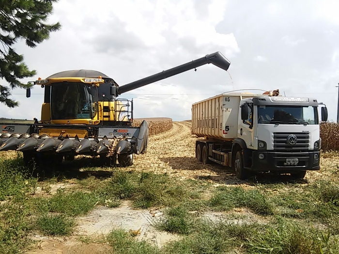 Imagem do dia - Colheita de milho em Madre de Deus de Minas (MG), na Fazenda Campo Vitória do produtor Richard Franchi