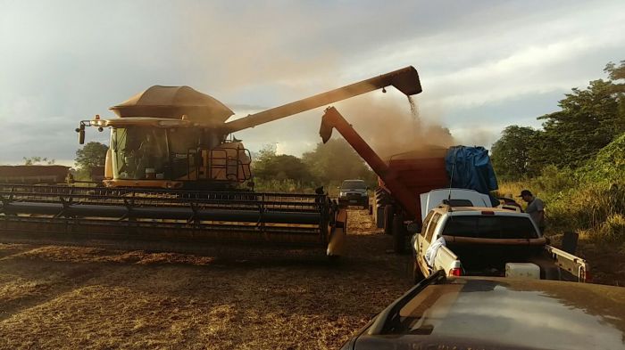 Imagem do dia - Finalizando colheita de soja em Laguna Carapã (MS), na  Fazenda Recreio. Enviado pelo Técnico Agrícola João Pedro Roma