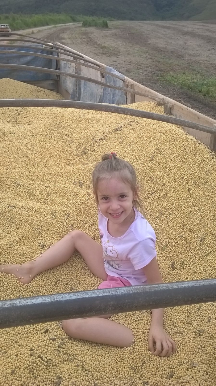 Imagem do dia - Soja em Coromandel (MG), do produtor Rodrigo Herval