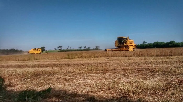 Imagem do dia - Colheita de soja em Iepê (SP), do produtor Zinho Libório