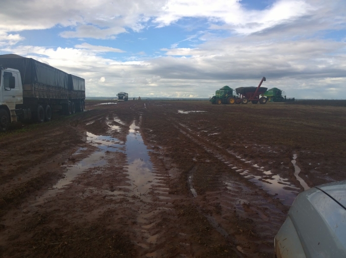 Imagem do dia - Fazenda Jatobá em Itaquiraí (MS)