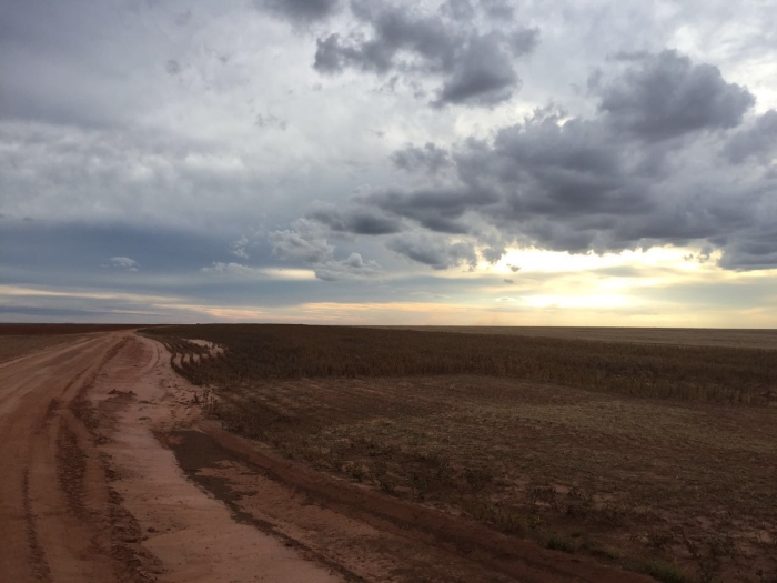 Imagem do dia - Colheita de soja em Luís Eduardo Magalhães (BA). Enviado pelo Engenheiro Agrônomo Leonardo Vale