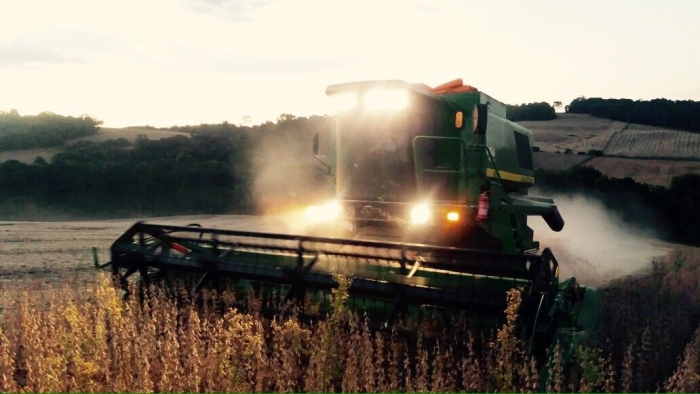 Imagem do dia - Colheita de soja em Ibiaçá (RS), do produtor Lourenço Scariot