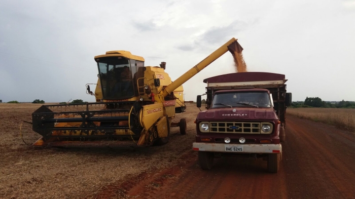 Imagem do dia - Colheita de soja em Cruzália (SP), do produtor Everton Varolo