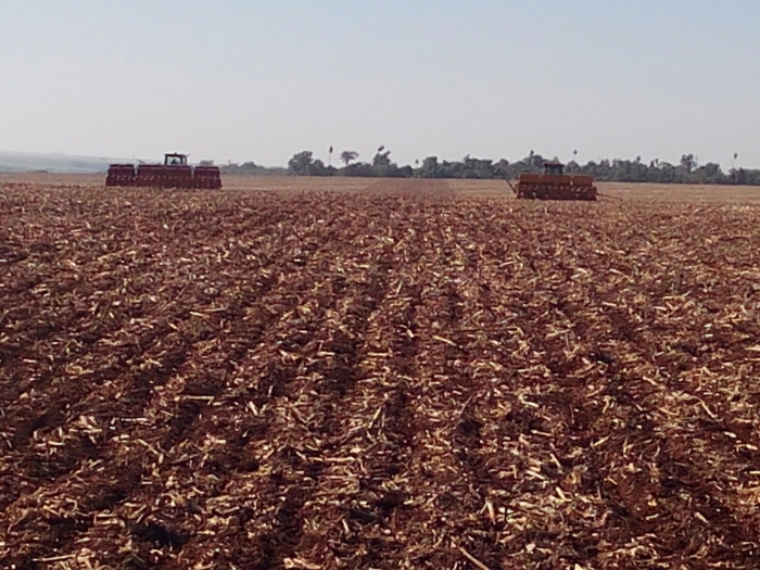 Imagem do dia - Início plantio de soja em Guadalupe (PY), na Estância Bom Sucesso. Envio de Rui Carlos Ferri