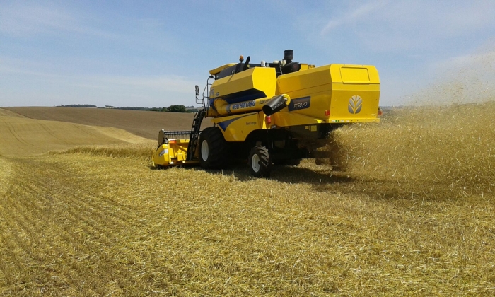 Imagem do dia - Final da colheita de trigo em Ibirubá (RS), propriedade de Ari e Solano Schneider