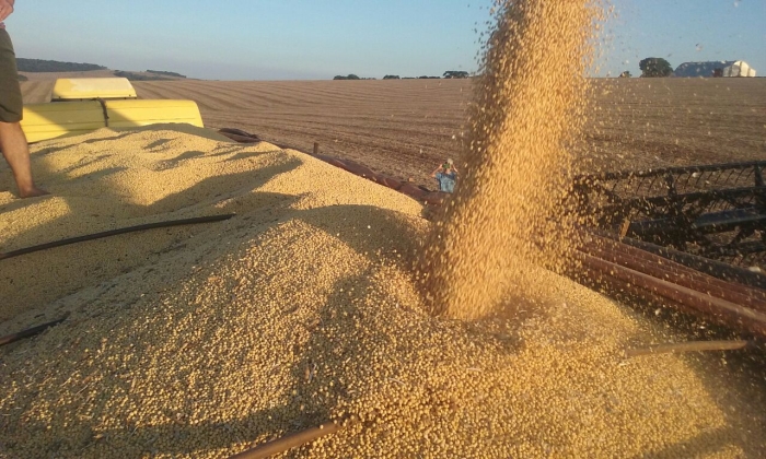 Imagem do dia - Colheita da soja em Espumoso (RS), na propriedade de Voltaire Soares.