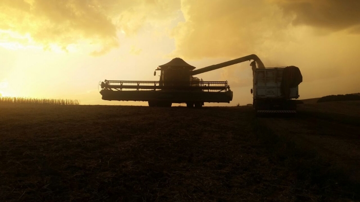 Imagem do dia - Colheita de soja em Muitos Capões (RS), na Agrícola Irmãos Baseggio