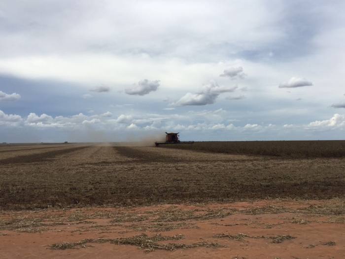 Imagem do dia - Colheita de soja em Luís Eduardo Magalhães (BA). Enviado pelo Engenheiro Agrônomo Leonardo Vale