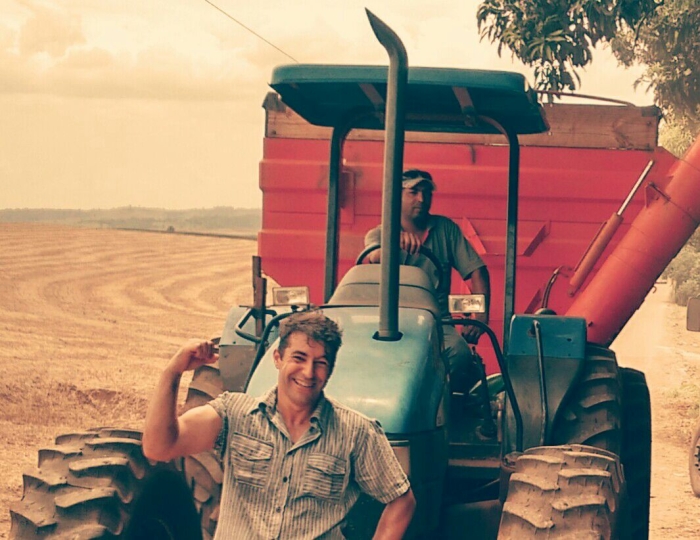 Imagem do dia - Colheita de soja em Ibiporã (PR). Enviado por Ricardo Alves Ferreira