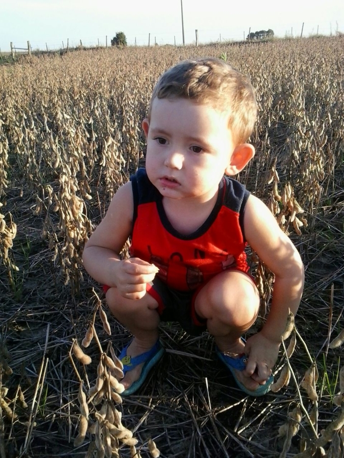 Imagem do dia - Luigi Borella Possobom na lavoura de soja em Jari (RS)
