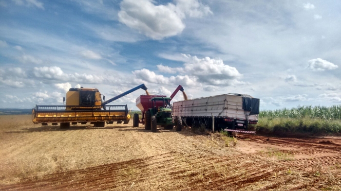 Imagem do dia - Colheita de soja em Santas Cruz do Rio Pardo (SP). Enviado pelo Técnico Agrícola Bruno Henrique Balbino